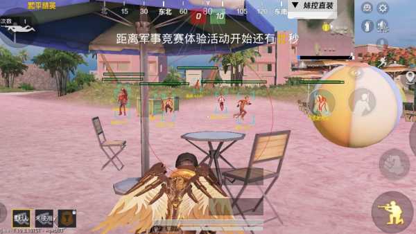和平精英【神眼】模拟器辅助